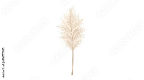 Pampas Grass Plume Feathery Texture — Cream Beige Boho Neutral Elegant Vector