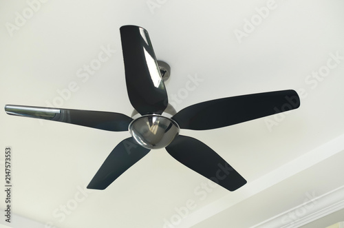 Modern Black Ceiling Fan Mounted on White Ceiling for Indoor Ventilation