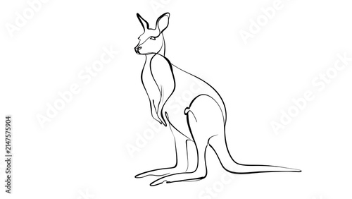 Obraz na płótnie Minimalist kangaroo line drawing white background.