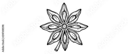 Hand Drawn Star Anise Spice Isolated