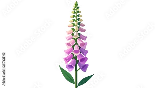 Close up of blooming purple lilac flowers on green stem.