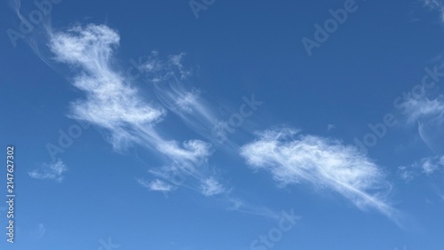 Canvas Print Whispy and streaky goat's hair cirrus clouds with virga  against a blue sky