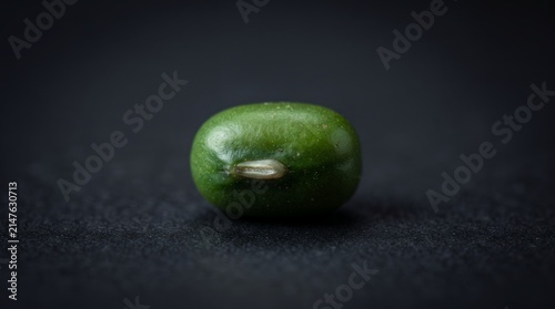 A single vibrant green mung bean displayed in a detailed macro shot against a dark, minimalist background.