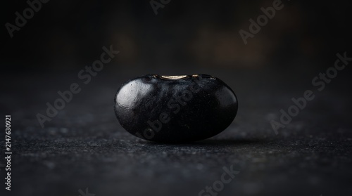 A precisely focused macro shot of a solitary black bean, highlighting its uniform dark color and smooth texture.