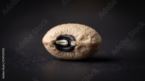 A single black-eyed pea bean with its distinct black spot is captured in a detailed macro shot against a dark, textured surface.
