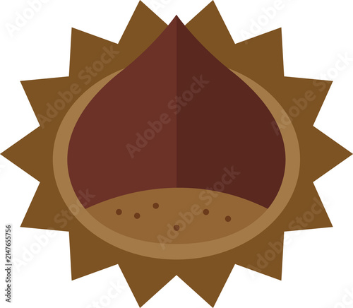 Cuadro en lienzo Ripe chestnut in spiny burr