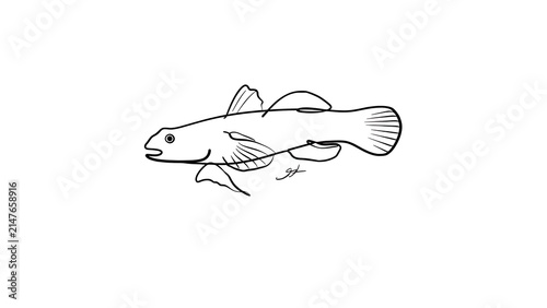 Simple fish line drawing on white background.