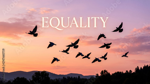 Flock of birds soaring through radiant sunrise sky with inspirational equality text overlay concept with displays silhouette bird equality centered above flying
