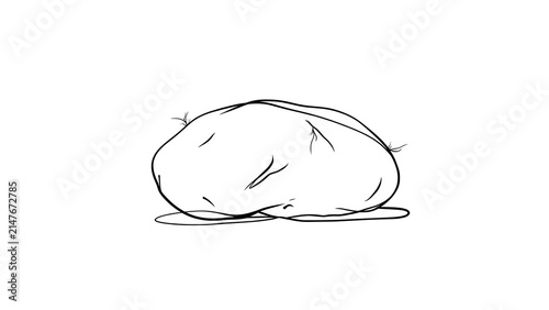 Simple line art rock drawing white background.
