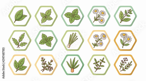 Herbal Plants Icons Set: Culinary Herbs, Medicinal Plants, Homegrown Garden