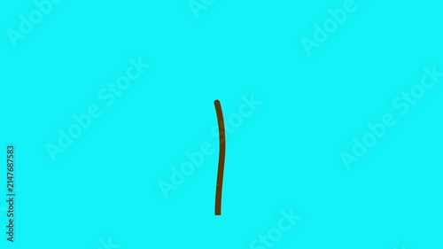 Animation of a white flower growing, in a simple, flat style.