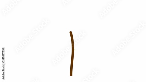 Animation of a purple flower growing, in a simple, flat style.