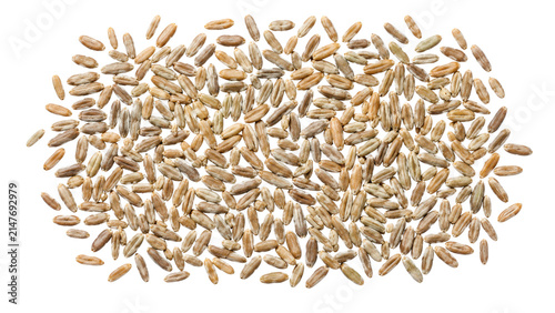 Rye Grain Kernels Pile Isolated on Transparent Background