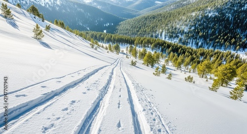 Crisp white snow covers a steep mountain slope with fresh parallel tracks from skis leading toward a valley filled with pine forest trees, sunny, vacation, mountain