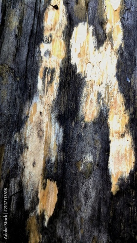 grunge texture background