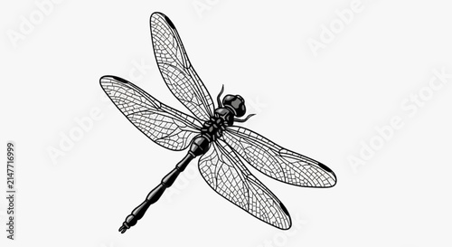Canvastavla dragonfly on white