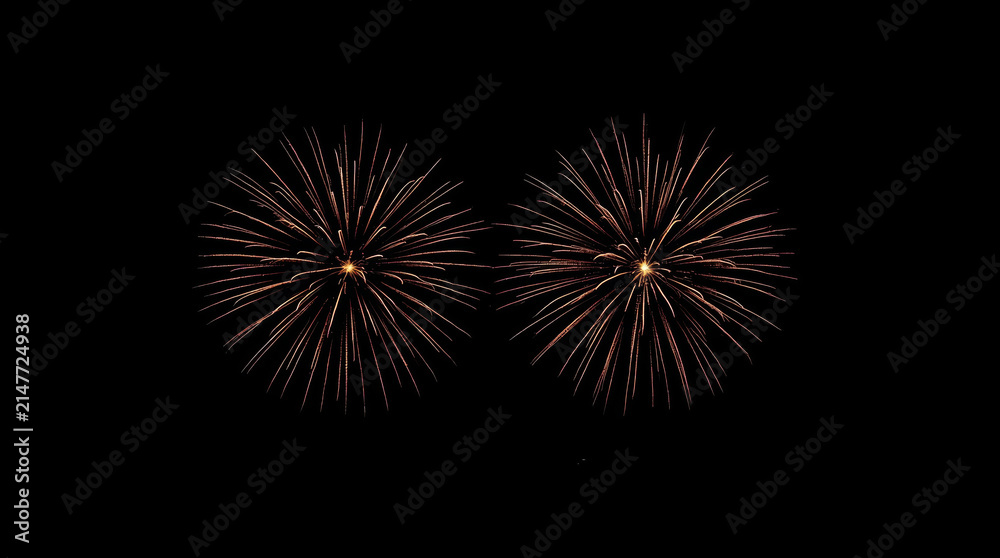 Fototapeta premium Vibrant fireworks in dark sky with symmetrical burst display