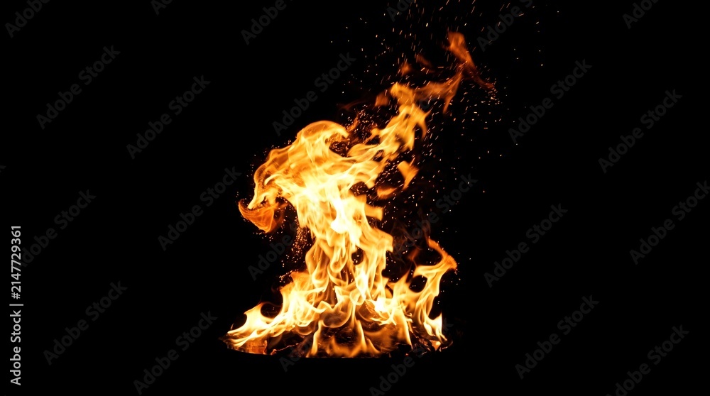 Fototapeta premium The captivating dance of vibrant flames against a stark black background, showcasing intense heat and light in a mesmerizing display