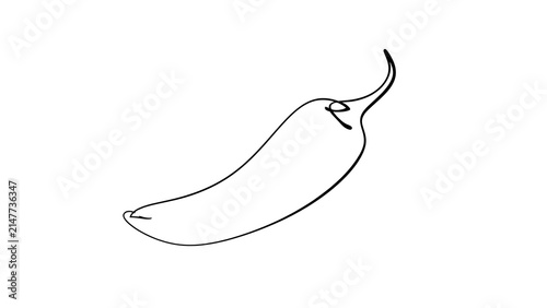 Single chili pepper line drawing white background.