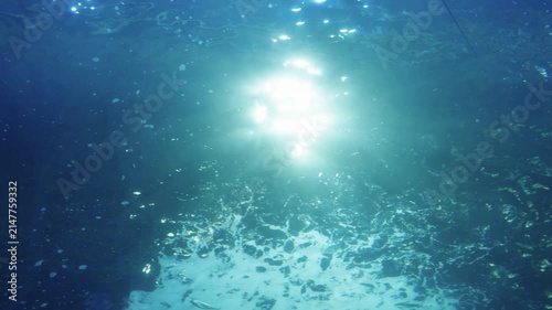 Underwater view of bright sun rays piercing through the blue ocean surface. Several fish swim peacefully in the deep water. Serene marine life background with bubbles and light beams.