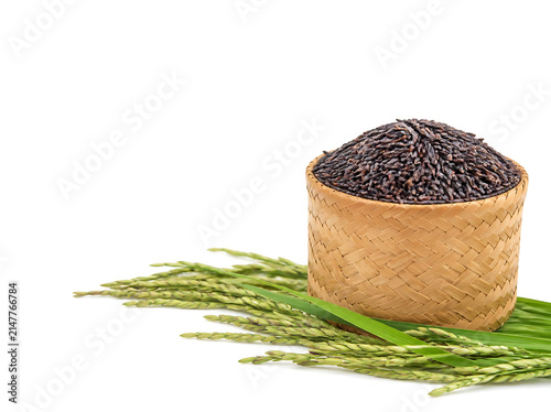 Traditional woven bamboo basket overflowing with uncooked Riceberry rice beside fresh rice stalks, isolated on a seamless white background, elegant agricultural composition