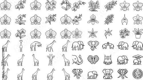 Foto Orchid Flowers and Giraffe Elephant Line Art Collection Vector Illustration