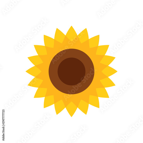 A simple flat vector icon illustration of a bright yellow sunflower flower with brown center petals for nature and summer design projects isolated on transparent background, Vector