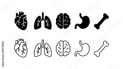 Human Organs Icon Set in Silhouette and Outline Style Vector