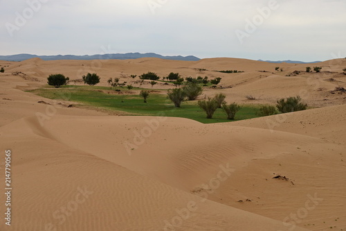 Panoramic view of green oasis in Gobi Desert, Mongolia