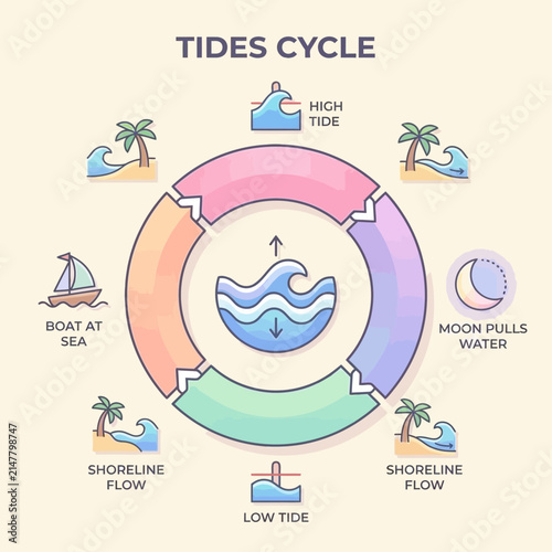 Tides cycle diagram with ocean and moon.