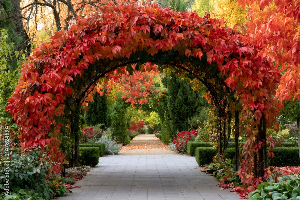 Fototapeta premium Autumn foliage archway leading through a serene garden path