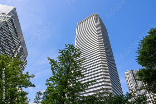 ベイシティ晴海スカイリンクタワー（東京都中央区晴海）