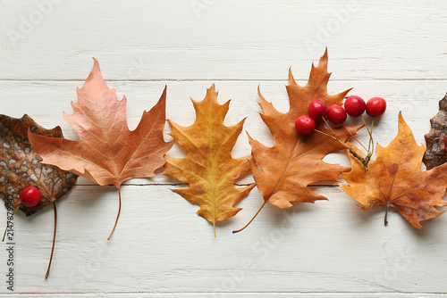 Obraz na płótnie Autumn leaves with berries on white wooden background