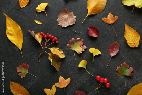 Bild auf Leinwand Beautiful autumn leaves and red berries on grunge black background