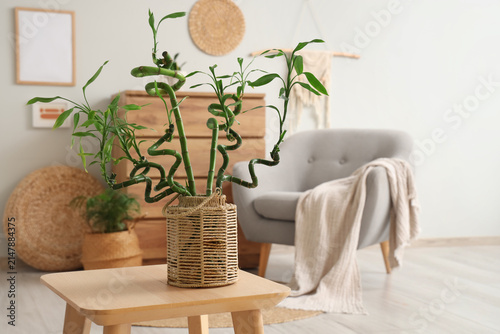Wicker vase with bamboo ste...