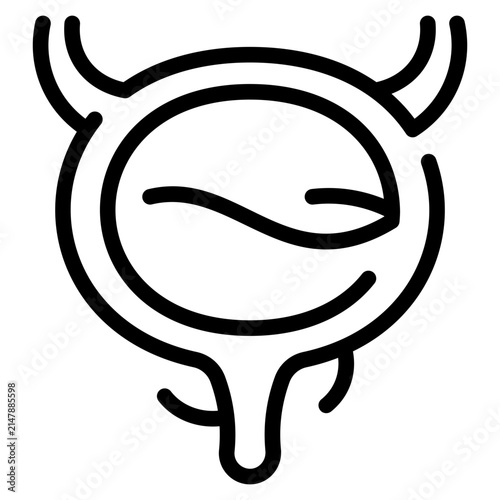 Bladder