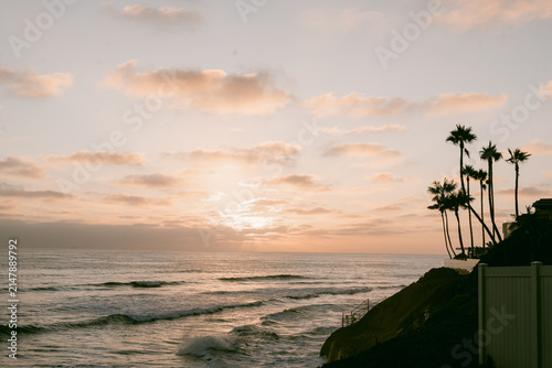 California coastline with palm trees at golden hour