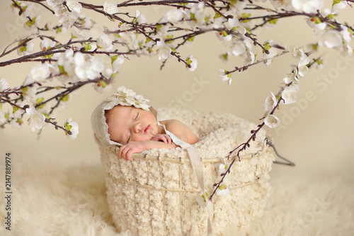 Newborn baby sleeping in a basket under blossoms