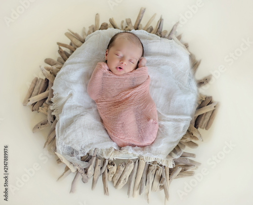 Newborn baby sleeping peacefully in a driftwood nest