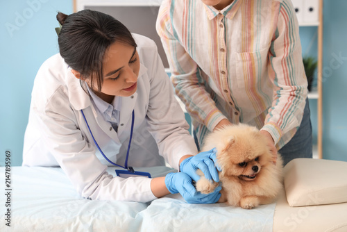 Female veterinarian and own...