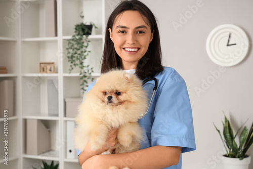Female veterinarian with cute Pomeranian dog in clinic