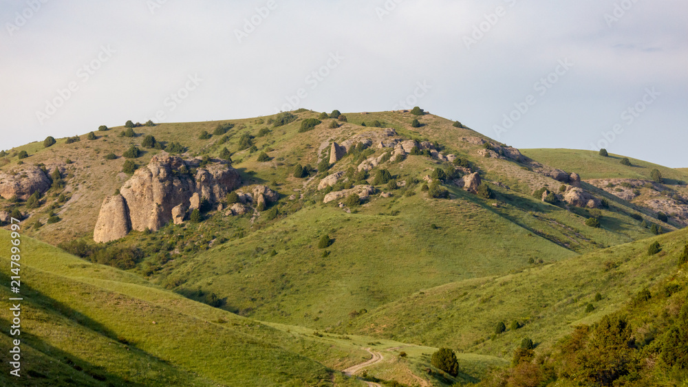 Obraz premium Rolling green hills with scattered rocks and sparse vegetation