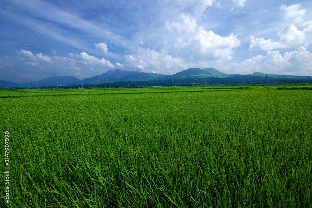 Obraz premium 熊本県 阿蘇の農村風景