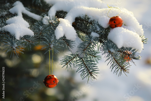 Photography Red Christmas bell hangs on a snow-covered branch of a Christmas tree against a festive background of white snow