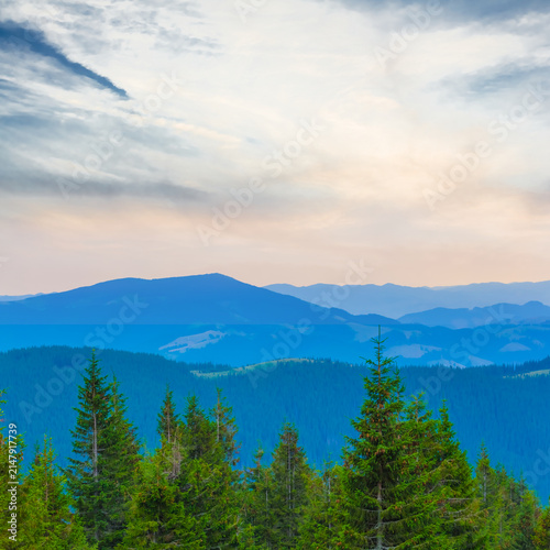 Quadro su tela green mountain valley covered by a forest, mountain travel landscape