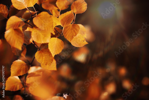 Konstfotografi Beautiful Nature Autumn landscape
