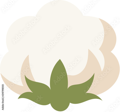 cotton design