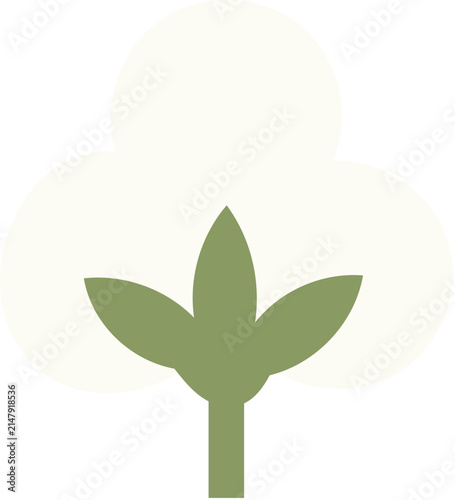 cotton design