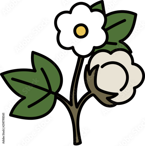 cotton design