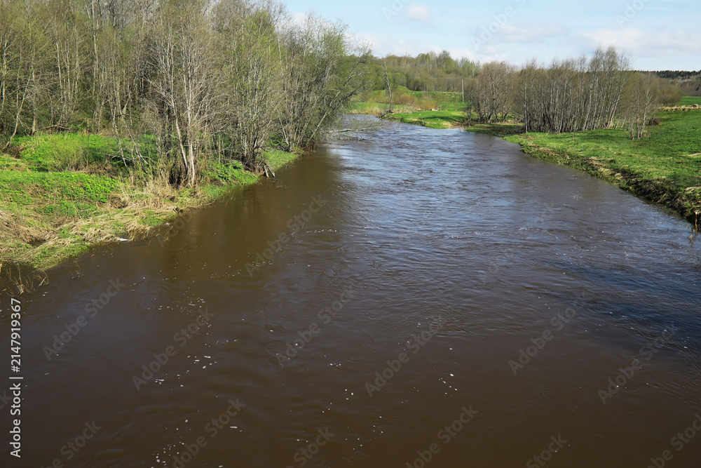 Obraz premium Calm River Flowing Through Spring Countryside with Bare Trees and Green Fields